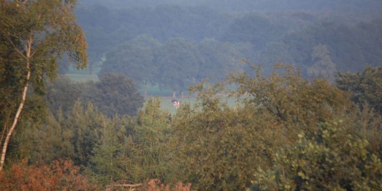 Wandeling voor vroege vogels en ontbijten op de Holterberg sallandse heuvelrug natuurdiorama 